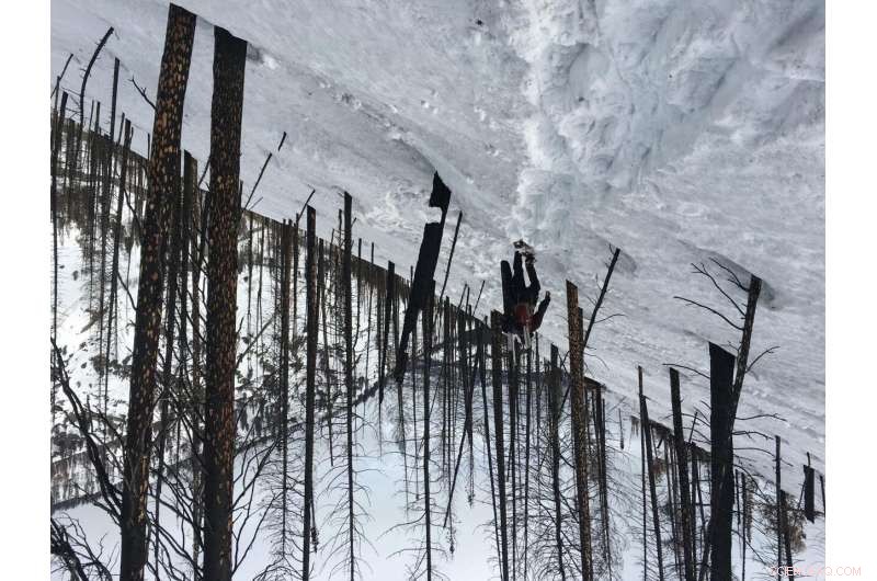 Study Reveals Forest Fires Speed Up Snowmelt in Western U.S.