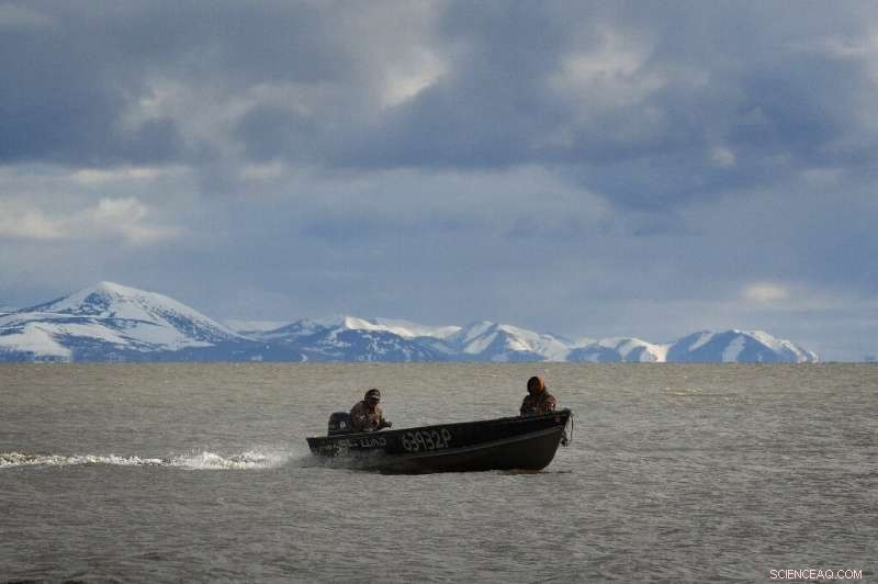 Alaska Faces Climate Crisis: Communities Innovate to Secure Survival