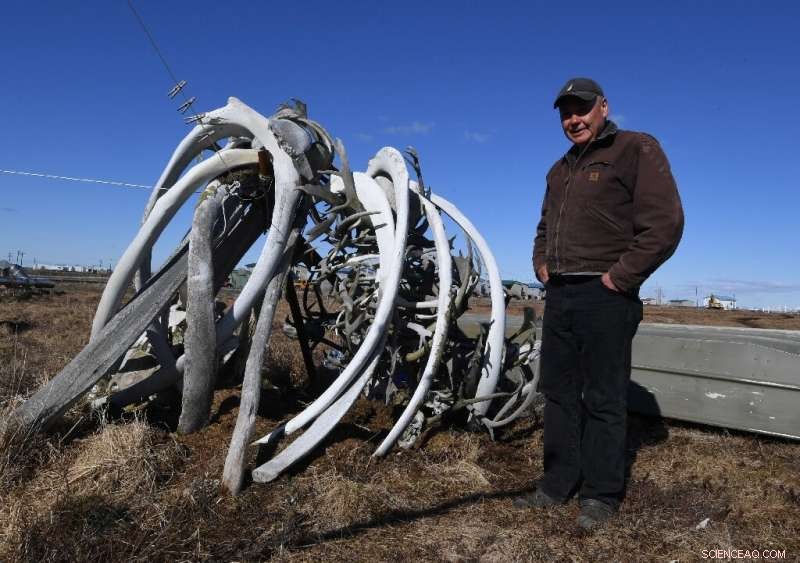 Alaska Faces Climate Crisis: Communities Innovate to Secure Survival