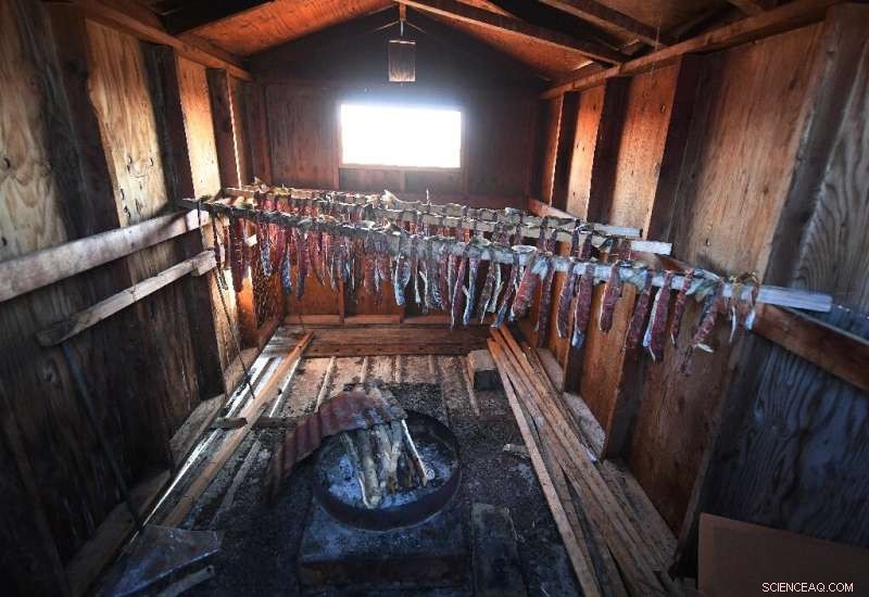 Alaska Faces Climate Crisis: Communities Innovate to Secure Survival