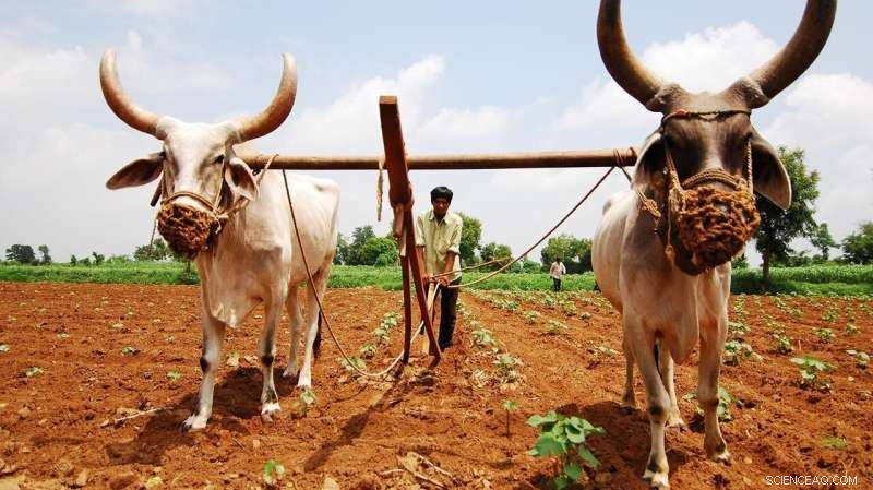 How Environmental Factors Shape Societal Development, Insights from a Leading Researcher