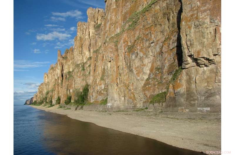 How Oxygen Levels Shaped the Rise and Fall of Early Animal Life