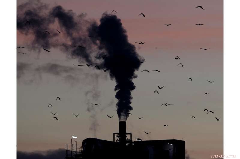 UN Study Reveals Human Activity Accelerates Species Extinction