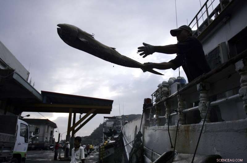 UN Study Reveals Human Activity Accelerates Species Extinction