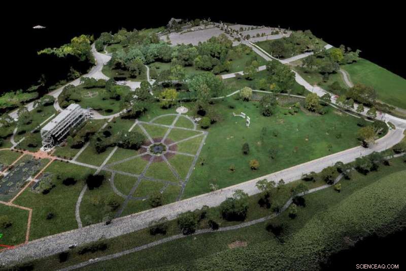 Will a Falling Tree in St. Louis Trigger a Power Outage?