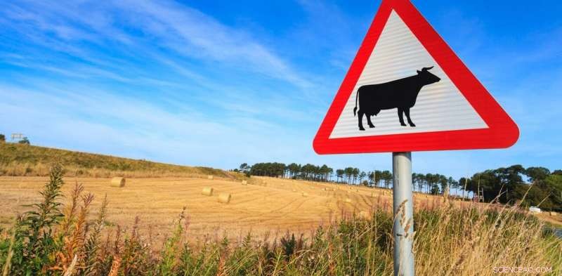 Farmer Safety in Britain: Reducing the Highest Occupational Fatality Risk