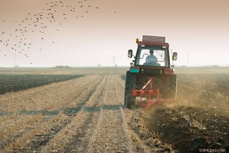 Farmer Safety in Britain: Reducing the Highest Occupational Fatality Risk