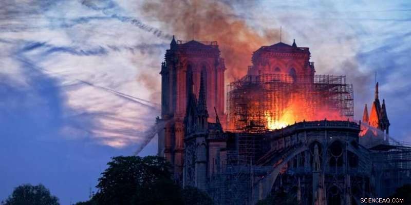 Opinion: Forests Over Cathedrals – A Call to Rethink Notre Dame s Rebuild