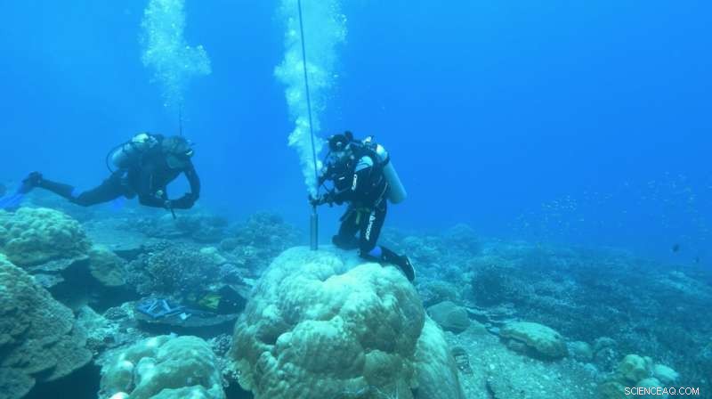 Revolutionary Coral-Core Study Reveals 400-Year El Nino Record, Uncovering Climate Shifts