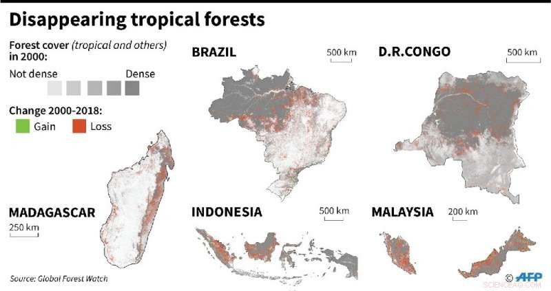 Indigenous Peoples: Nature s Guardians Under Global Threat