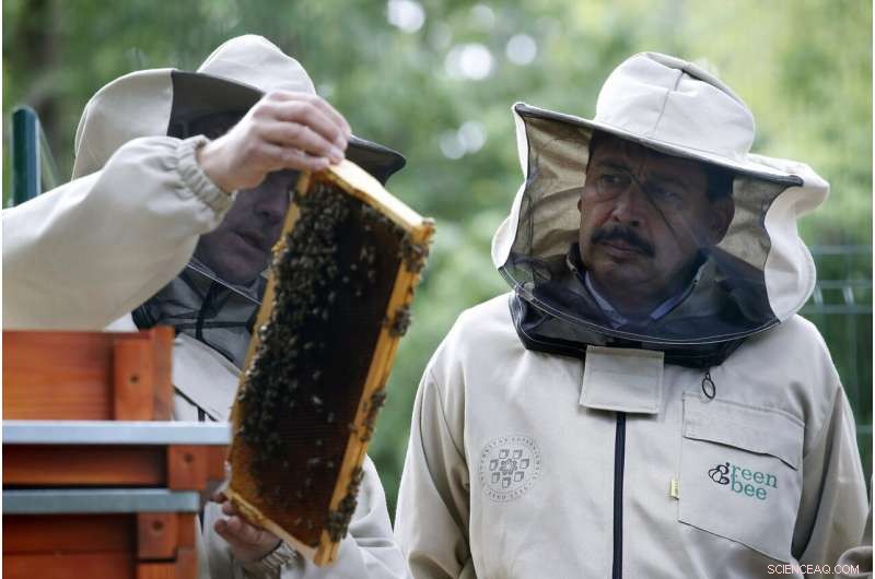 Why Biodiversity Matters: The Science Behind Its Impact on You