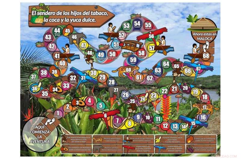 Indigenous Stewardship of Colombia’s Amazon: Territorial Management and Governance