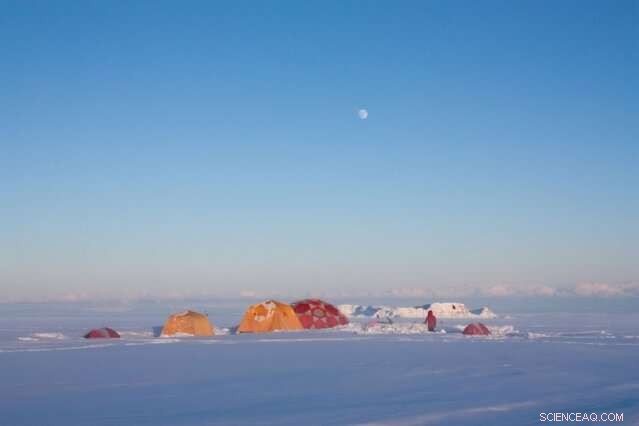 Phytoplankton Decline Mirrors 150 Years of Rising Ocean Temperatures