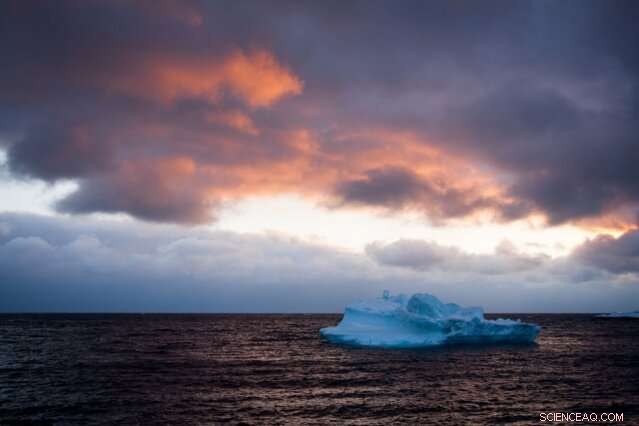 Phytoplankton Decline Mirrors 150 Years of Rising Ocean Temperatures