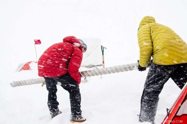 Phytoplankton Decline Mirrors 150 Years of Rising Ocean Temperatures