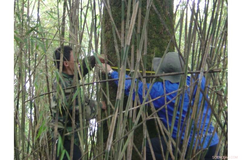 Evaluating Conservation: Which Reserves Safeguard Forests