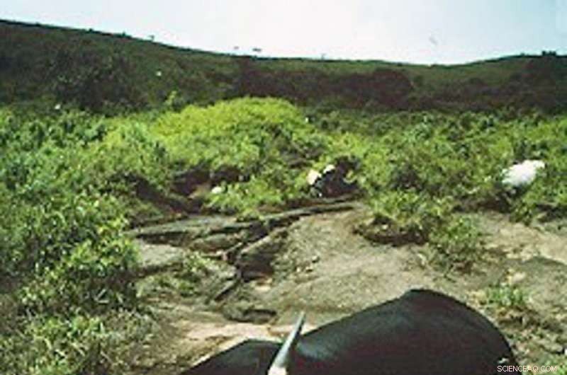 Could Superheated Deep‑Sea Carbon Reservoirs Ignite Climate Change Again?