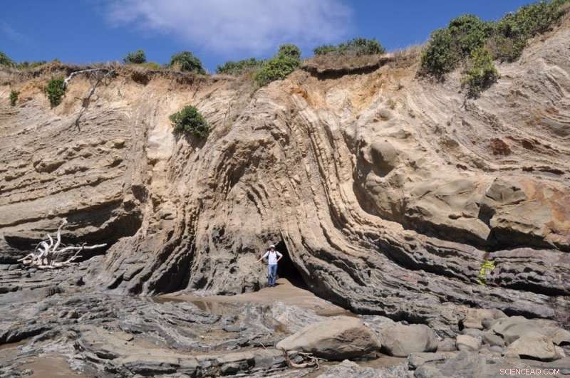 The Tectonic Journey: How Earth s Continents Twisted and Contorted Over Millennia