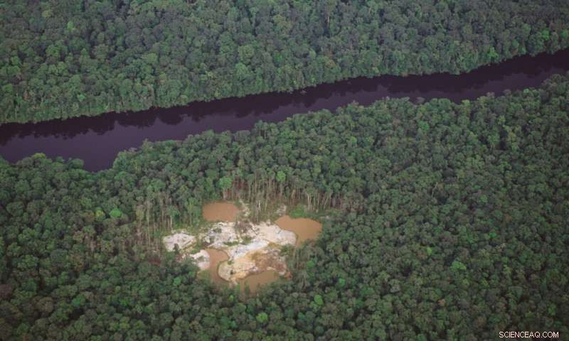 Sustainable Mining Practices for Fragile Forests