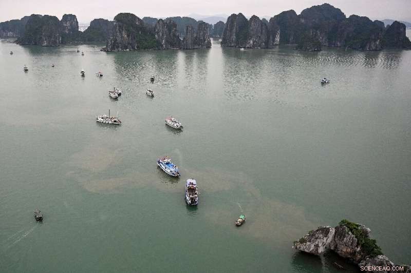 Vietnam Launches Helicopter Tours Over Ha Long Bay