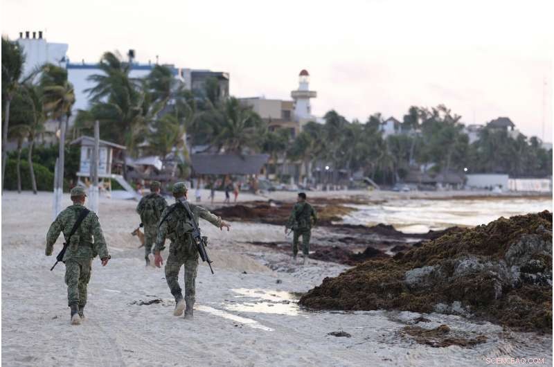Mexico’s Prized Beaches Threatened by Odorous Algae Invasion