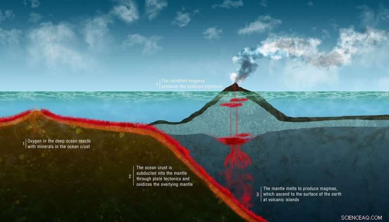 How Life Shapes Earth s Interior Dynamics