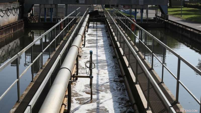 Transforming Wastewater Sludge into Energy & Mineral Salts