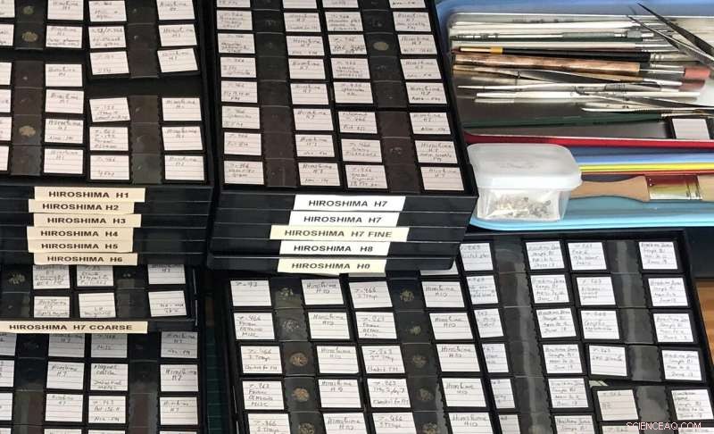 Hiroshima Beach Sands Reveal Fallout Debris in Glassy Particles: New Study