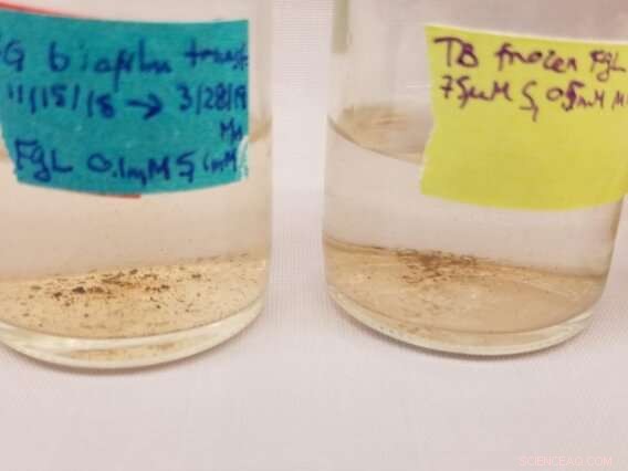 Recreating Ancient Minerals: Cutting-Edge Techniques in Modern Geology