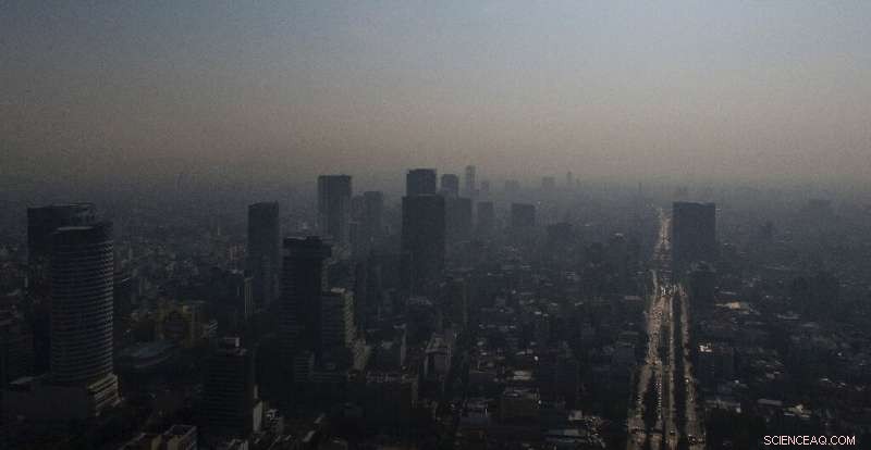 Mexico City Imposes Environmental Alert, Suspends Traffic, and Delays Football Semi-Final