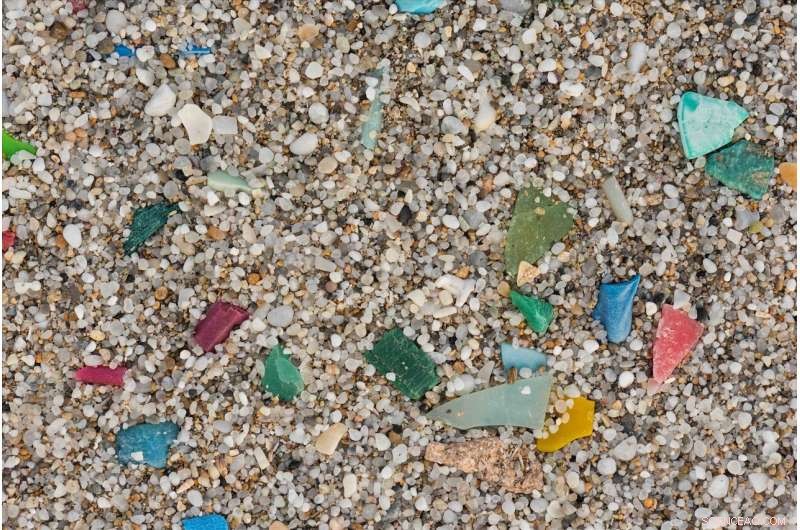 The Hidden Threat: Microplastics Contaminating Freshwater Ecosystems