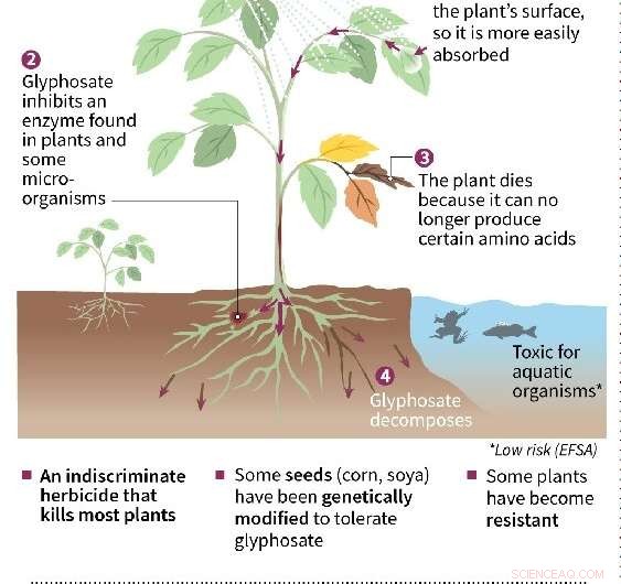 Monsanto Faces $2 B Verdict Over Roundup Litigation