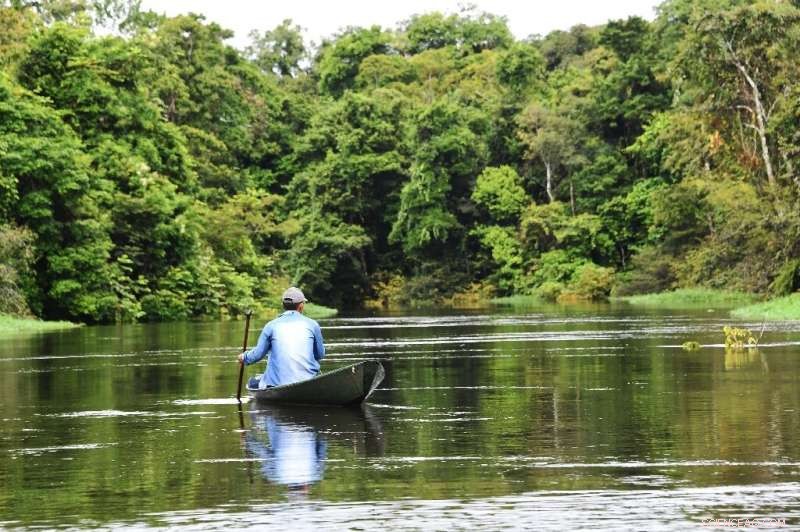 Advanced Surveillance Reveals Hidden Wildlife in the Amazon