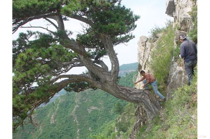 Study Reveals Unprecedented Decline of Asian Summer Monsoon