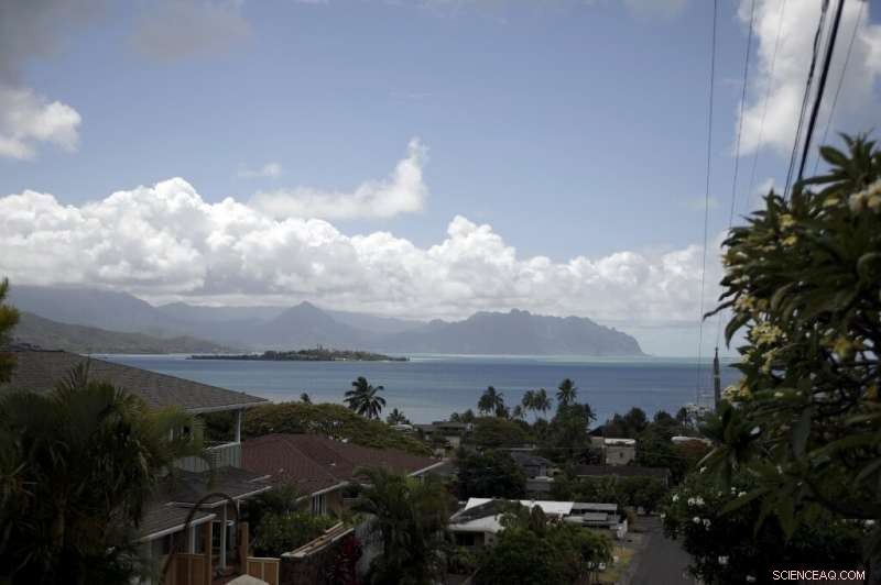 Super Corals Offer Hope for Dying Reefs Worldwide