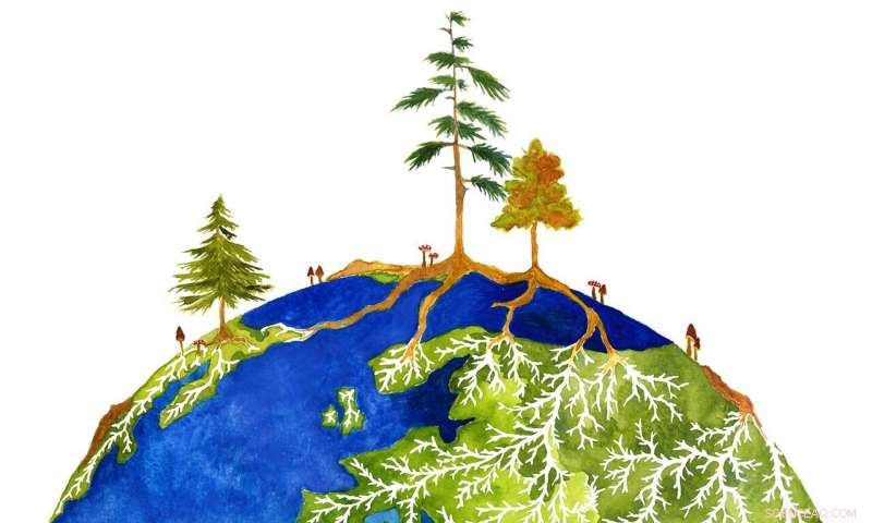 Scientists Chart Global Symbiotic Networks Between Trees and Microbes