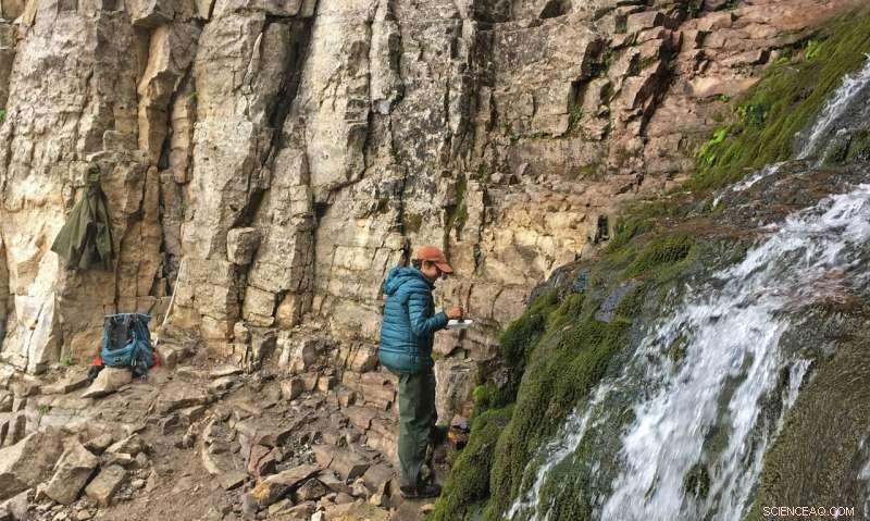 Rising Temperatures Endanger Alpine Stream Microbes, New Study Reveals