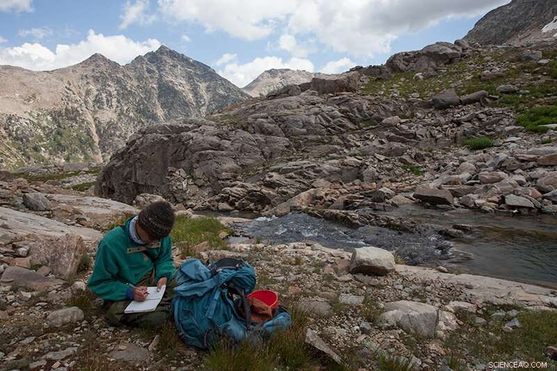 Rising Temperatures Endanger Alpine Stream Microbes, New Study Reveals