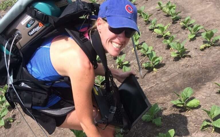 Revolutionary Tool Allows Accurate Measurement of Plant Yield Traits, Boosting Farmers  Production