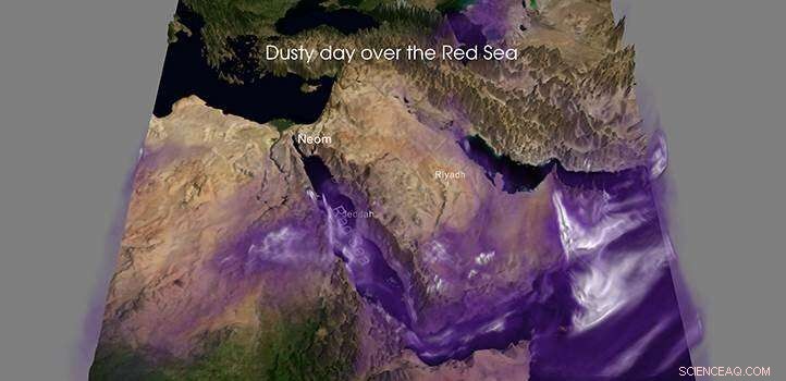 Warm West Africa vs. Dusty Red Sea: Airborne Particles Keep the Gulf Cool