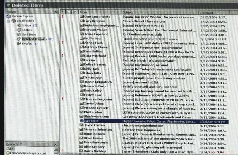 Calculating the Carbon Footprint of Digital Operations: How Companies Measure Their Environmental Impact