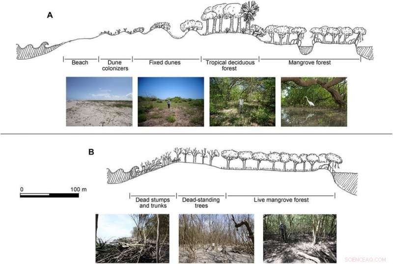 Hydropower Dams: Unseen Threats to Downstream Coastal Areas