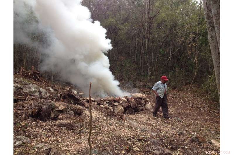 Reevaluating Climate Change Narratives: The Maya and Misinterpretations