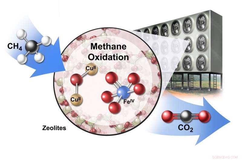 Scientists Chart Profitable Path to Climate Change Mitigation