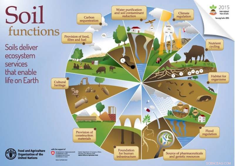 Unlocking Earth s Past and Future: The Vital Role of Soil