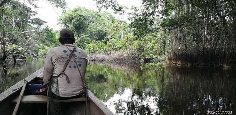 How Carbon‑Storing Peatlands Shape Rural Communities in the Peruvian Amazon