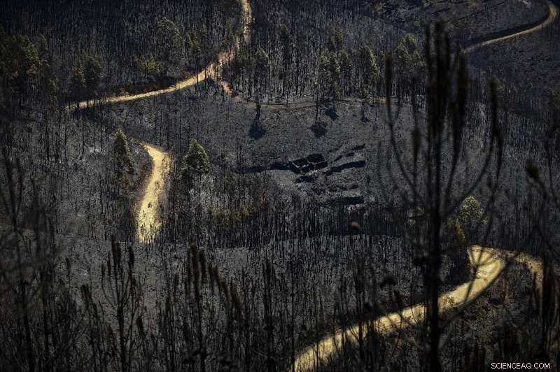 EU Court Rejects Landmark Climate Case Filed by Ten Families