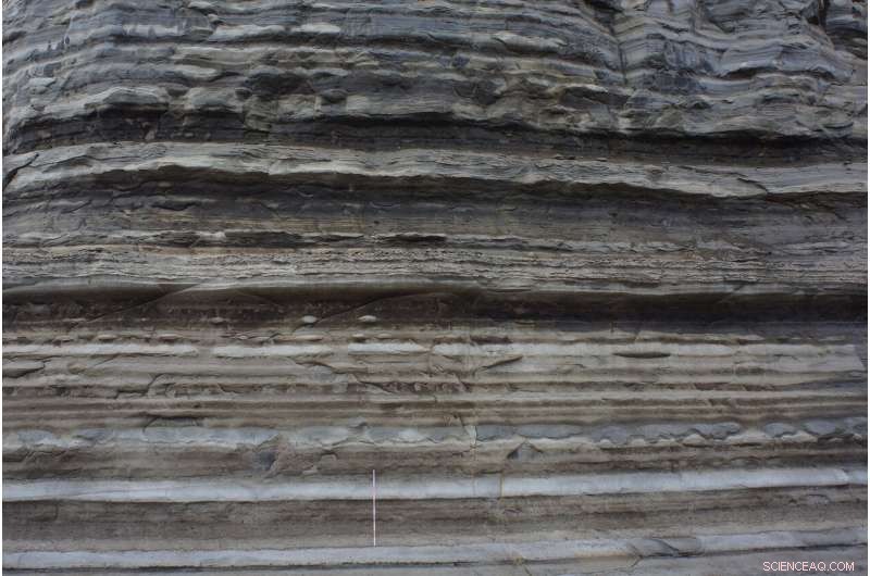 Could Plankton, Rather Than the Sun, Drive Climate Change?