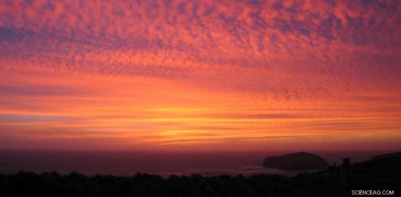 Eastern China Identified as Key Source of Unregulated Ozone‑Depleting Emissions