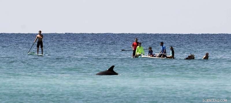 Kailua Beach, Hawaii Recognized as America s Top Beach by Dr. Beach